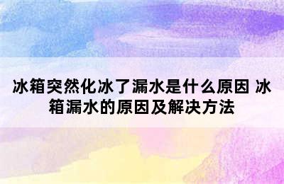 冰箱突然化冰了漏水是什么原因 冰箱漏水的原因及解决方法